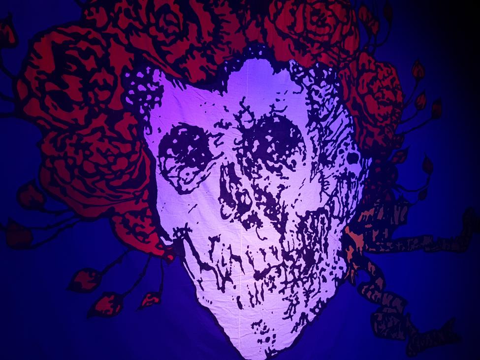 20170926_182313.jpg