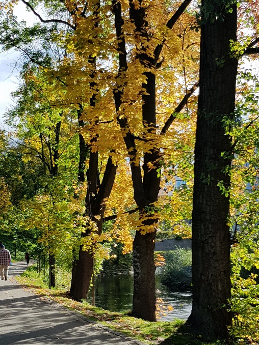 20171007_120554.jpg