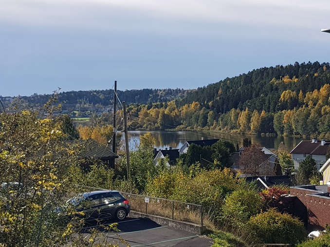 20171007_123218.jpg