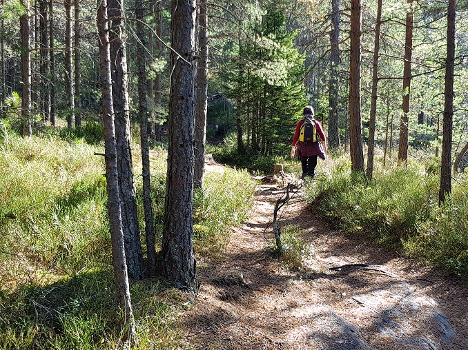 20171007_140529.jpg