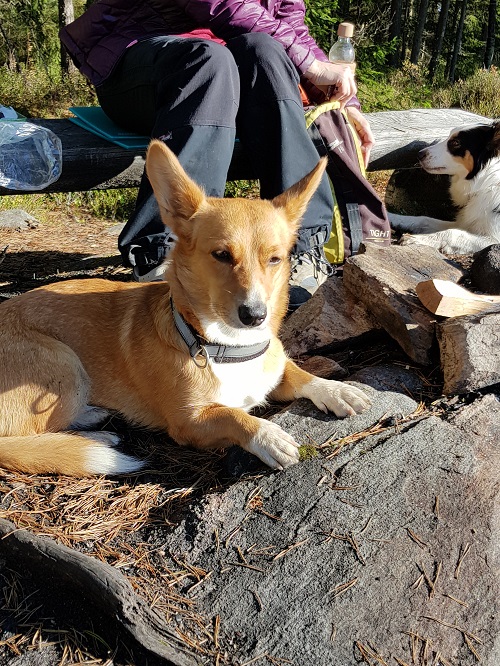 20171007_141938.jpg