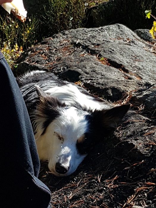 20171007_142925.jpg