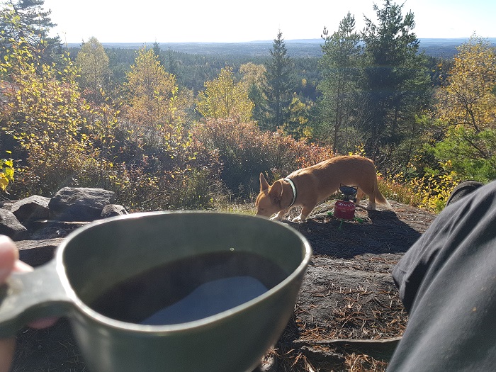 20171007_143742.jpg