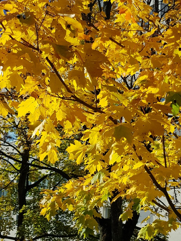 20171016_131017.jpg