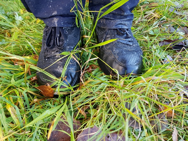 20171025_151219.jpg