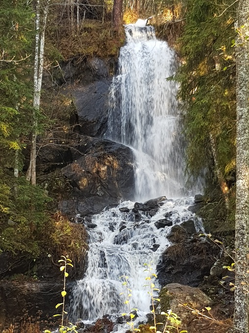 20171025_162038.jpg