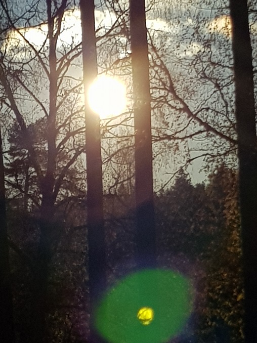 20171025_162359.jpg