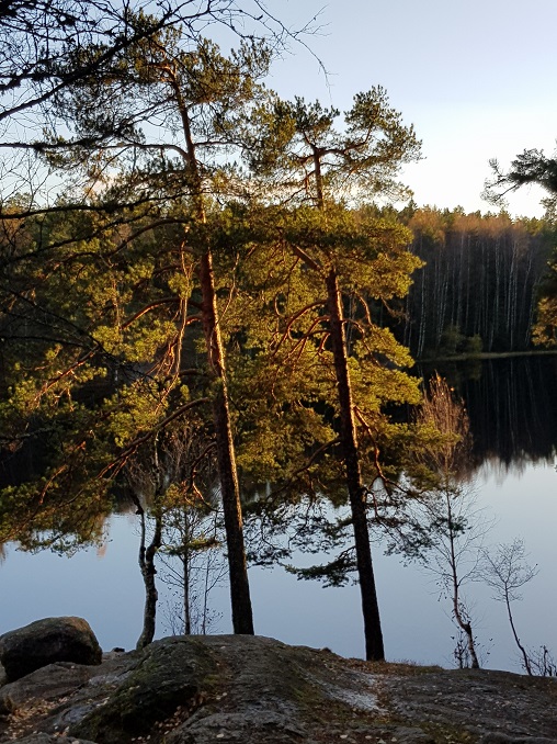 20171025_164404.jpg