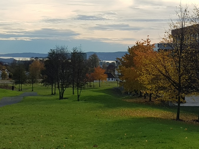 20171027_143500 (1).jpg