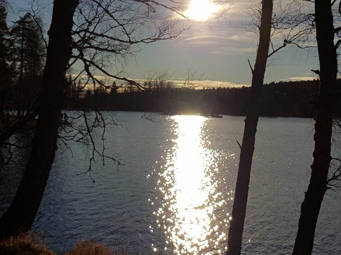 20171102_142730.jpg
