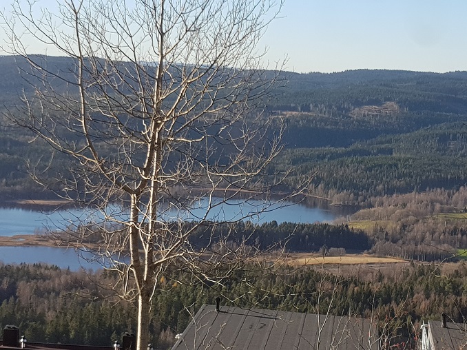 20171103_130915.jpg