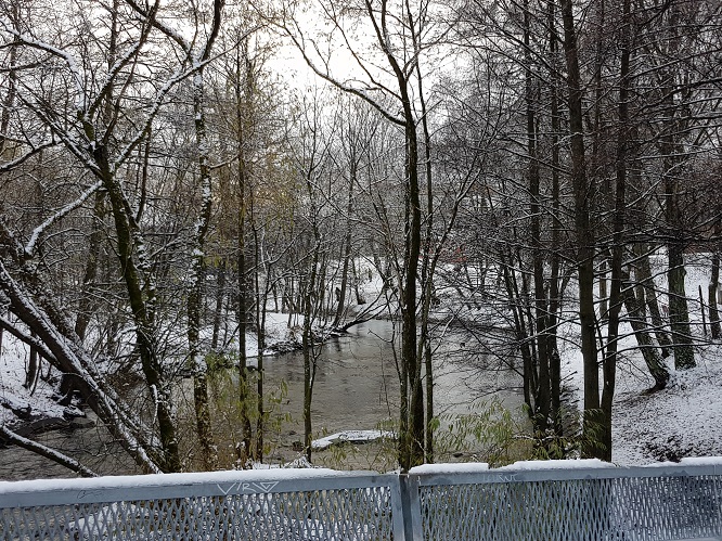 20171114_135235.jpg