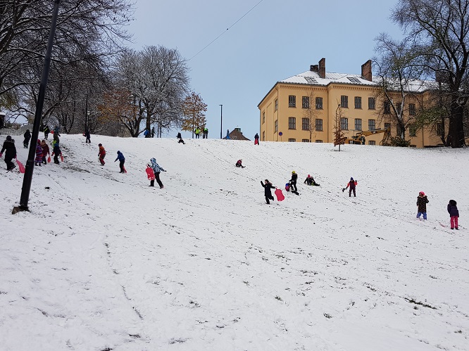 20171114_140049.jpg