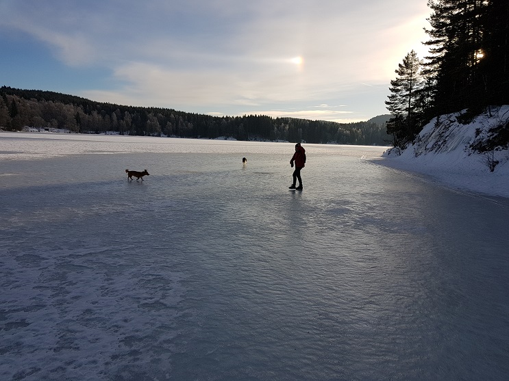 20180127_132332.jpg