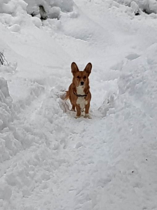 20180205_152950.jpg