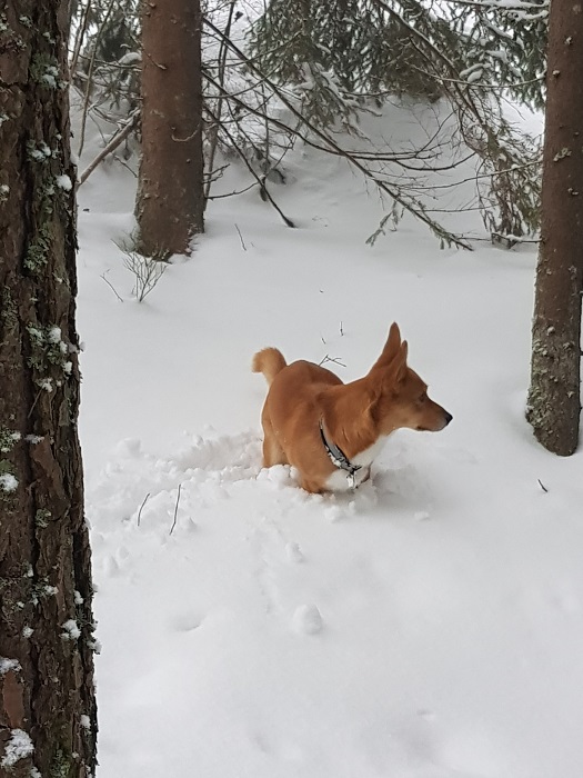 20180218_151406.jpg