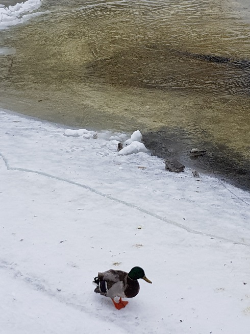 20180307_140549.jpg