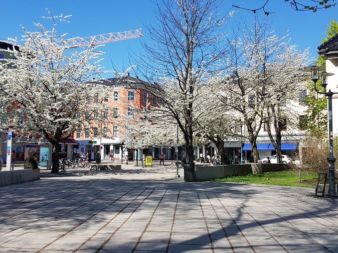 20180509_134054.jpg