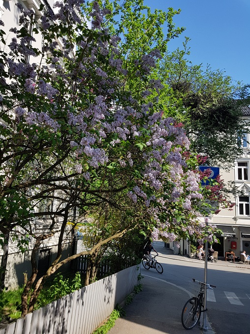 20180516_160853.jpg