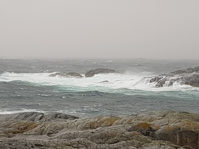 20180619_221555.jpg