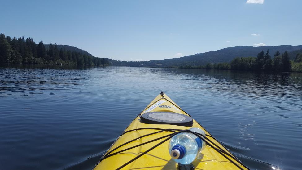 20180721_120157[1].jpg