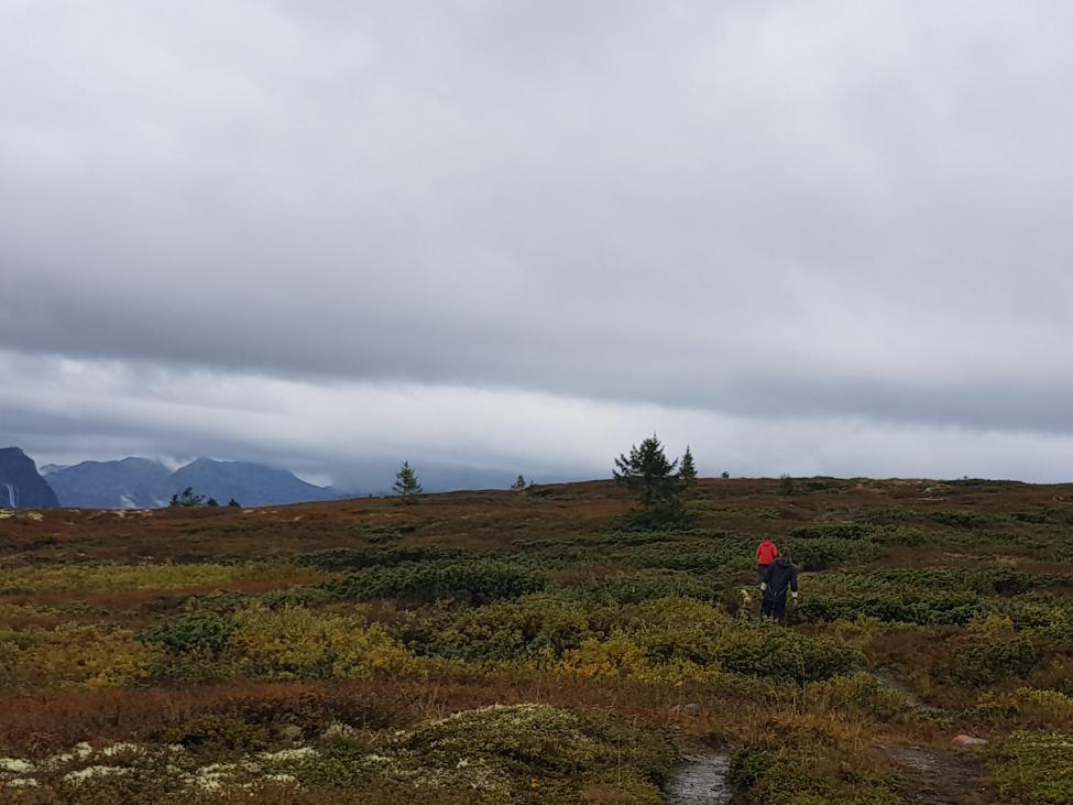 20180908_150237.jpg