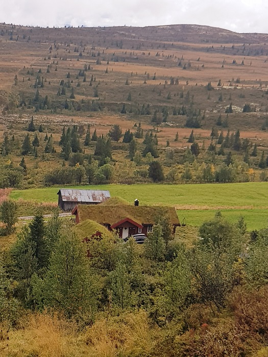 20180908_160755.jpg