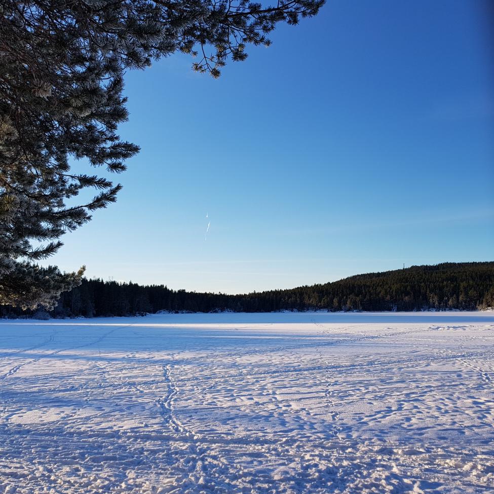 20190120_101916.jpg
