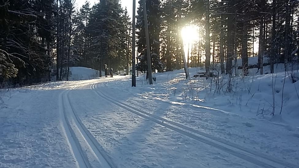 20190120_140701.jpg