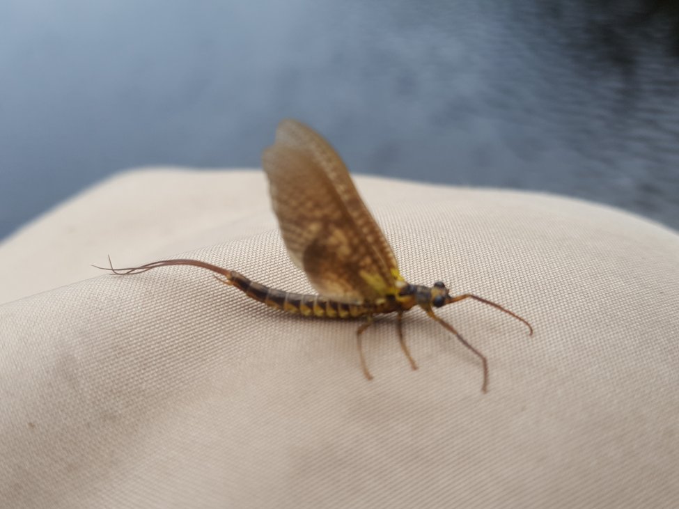 20190616_175944.jpg