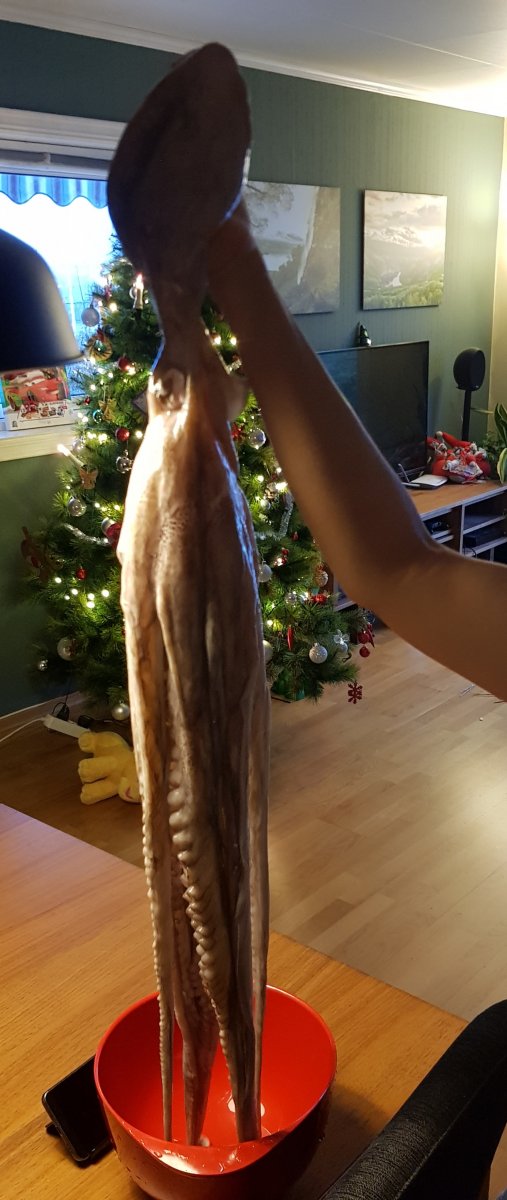 20191215_135039.jpg