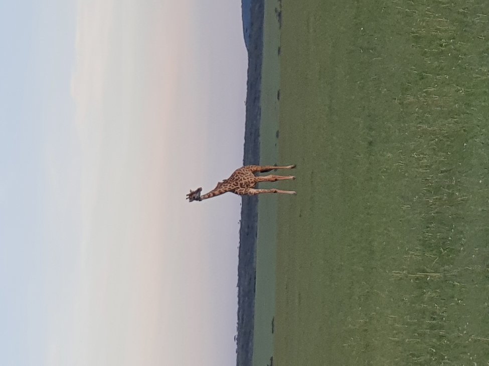 20191219_183104.jpg