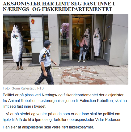 2020-09-21 12_55_59-Aksjonister har limt seg fast inne i Nærings- og fiskeridepartementet - VG...png