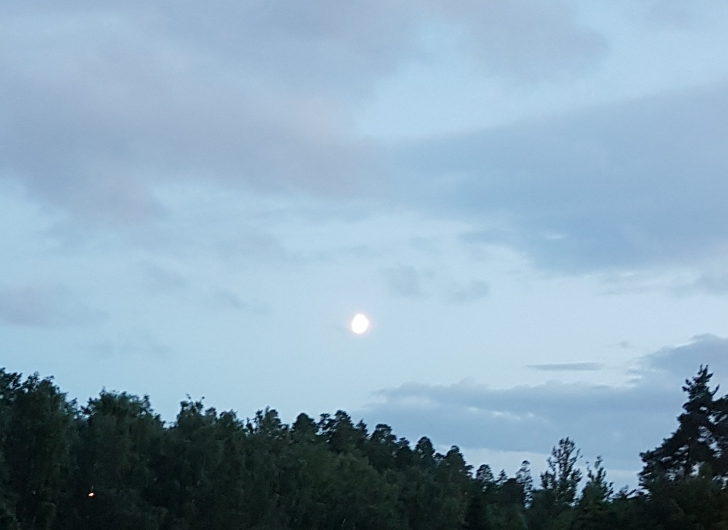 20200728_223135.jpg
