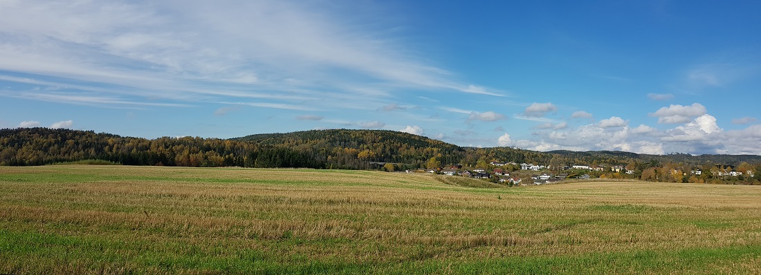 20201005_135615.jpg
