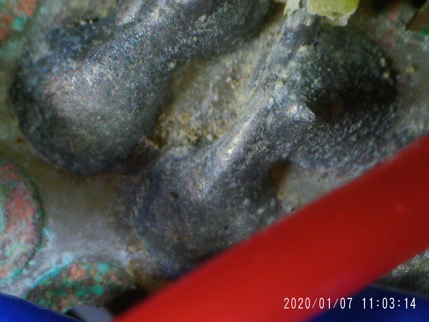 2020_0107_110315_003.JPG
