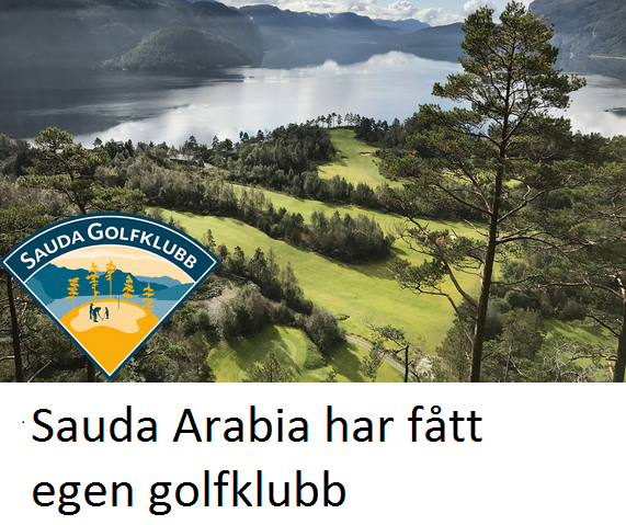 2020_04_25_15_51_26_sauda_Google_Søk.png