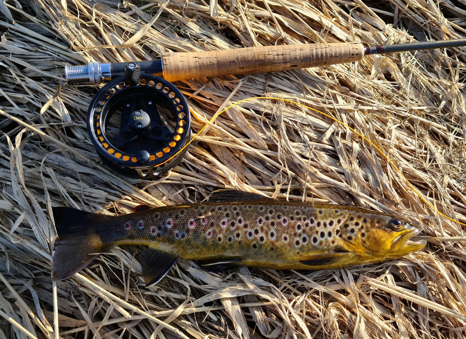 20210403_174148.jpg