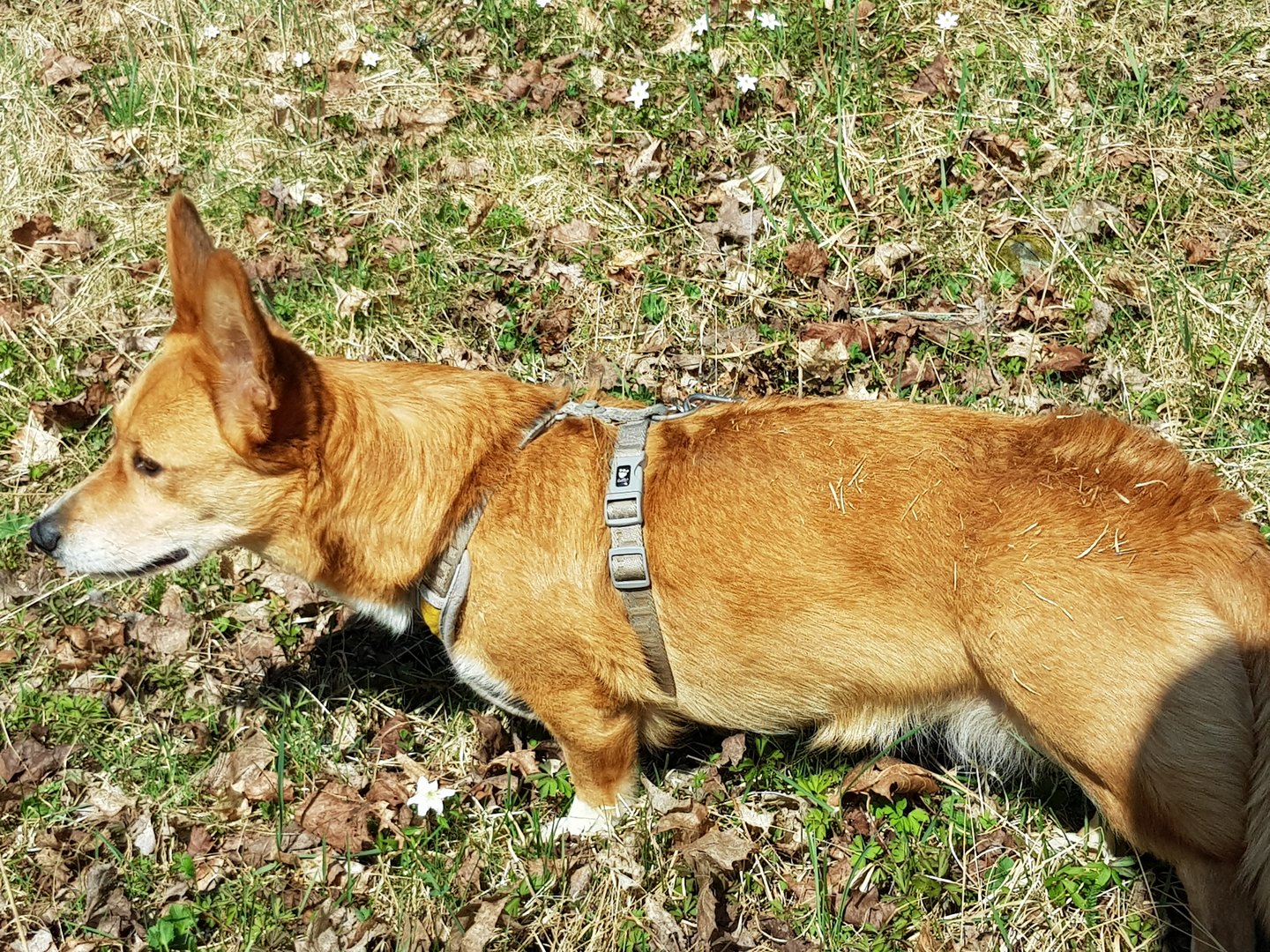 20210420_140519.jpg