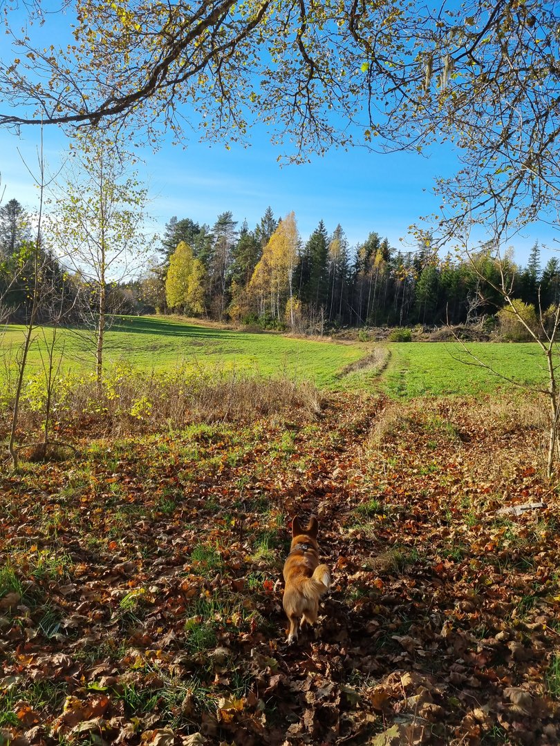 20211023_144117.jpg
