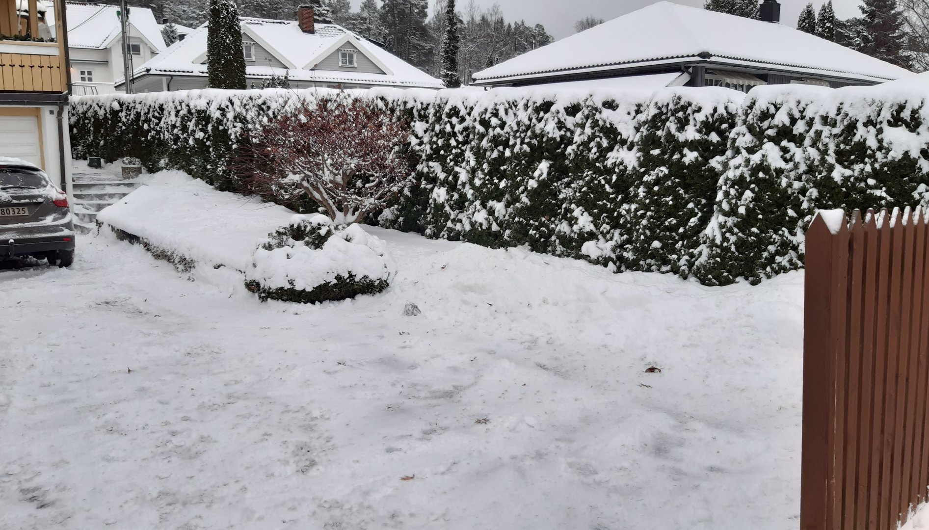 20211210_094743.jpg