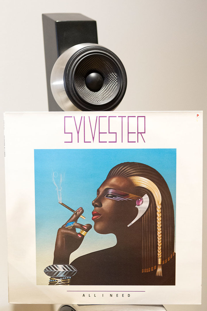 20220122-Sylvester----All-I-Need--1982.jpg