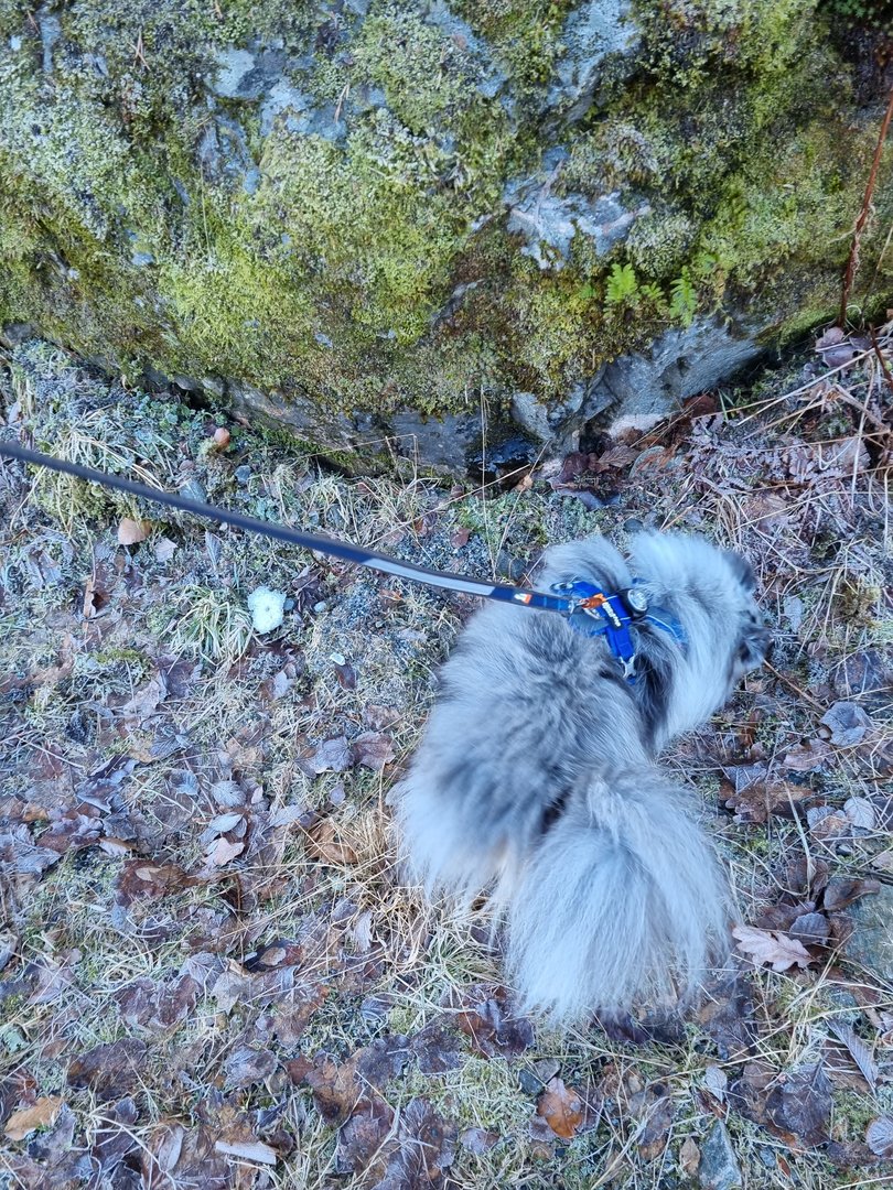 20220308_125554.jpg