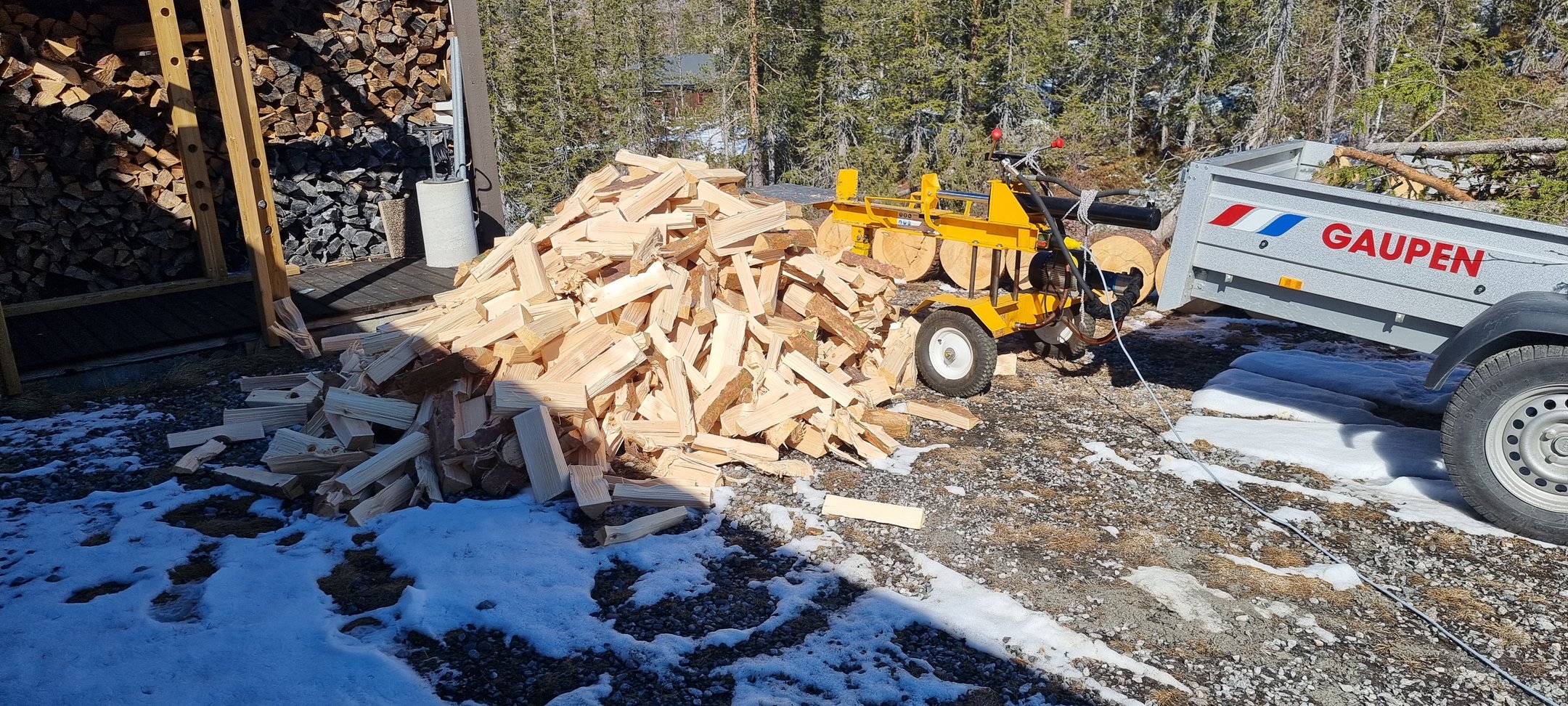 20220415_145717.jpg