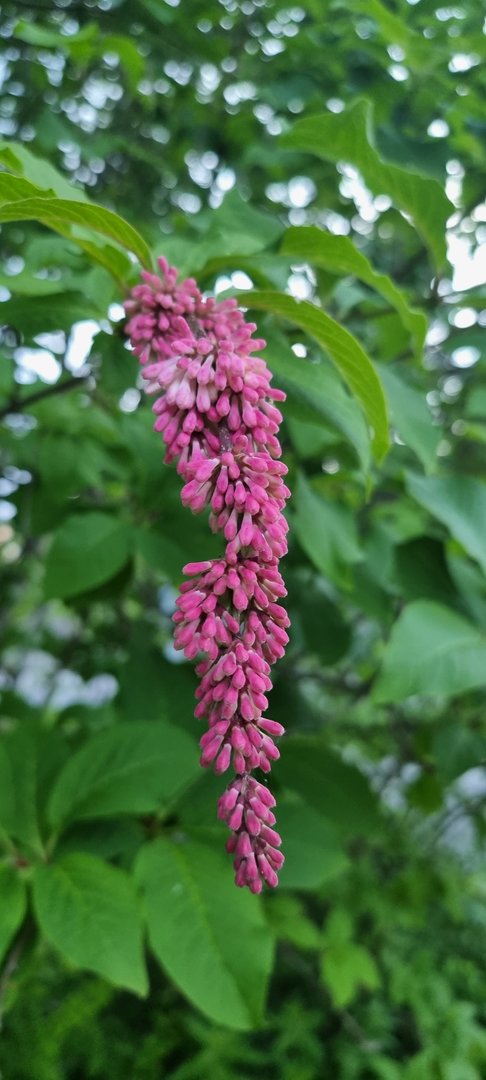 20220614_220931.jpg