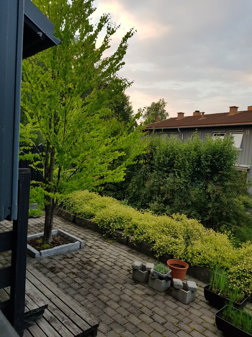 20220625_220302.jpg