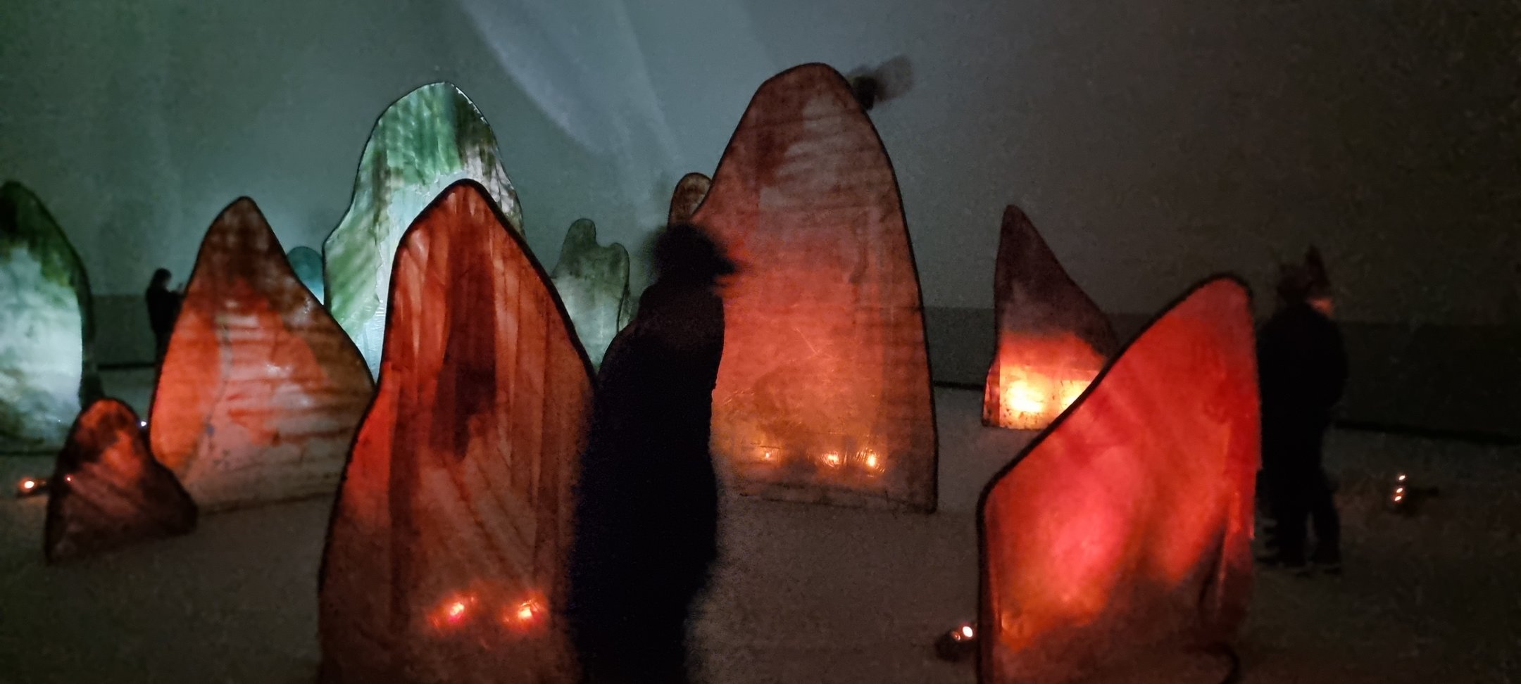 20221013_123027.jpg