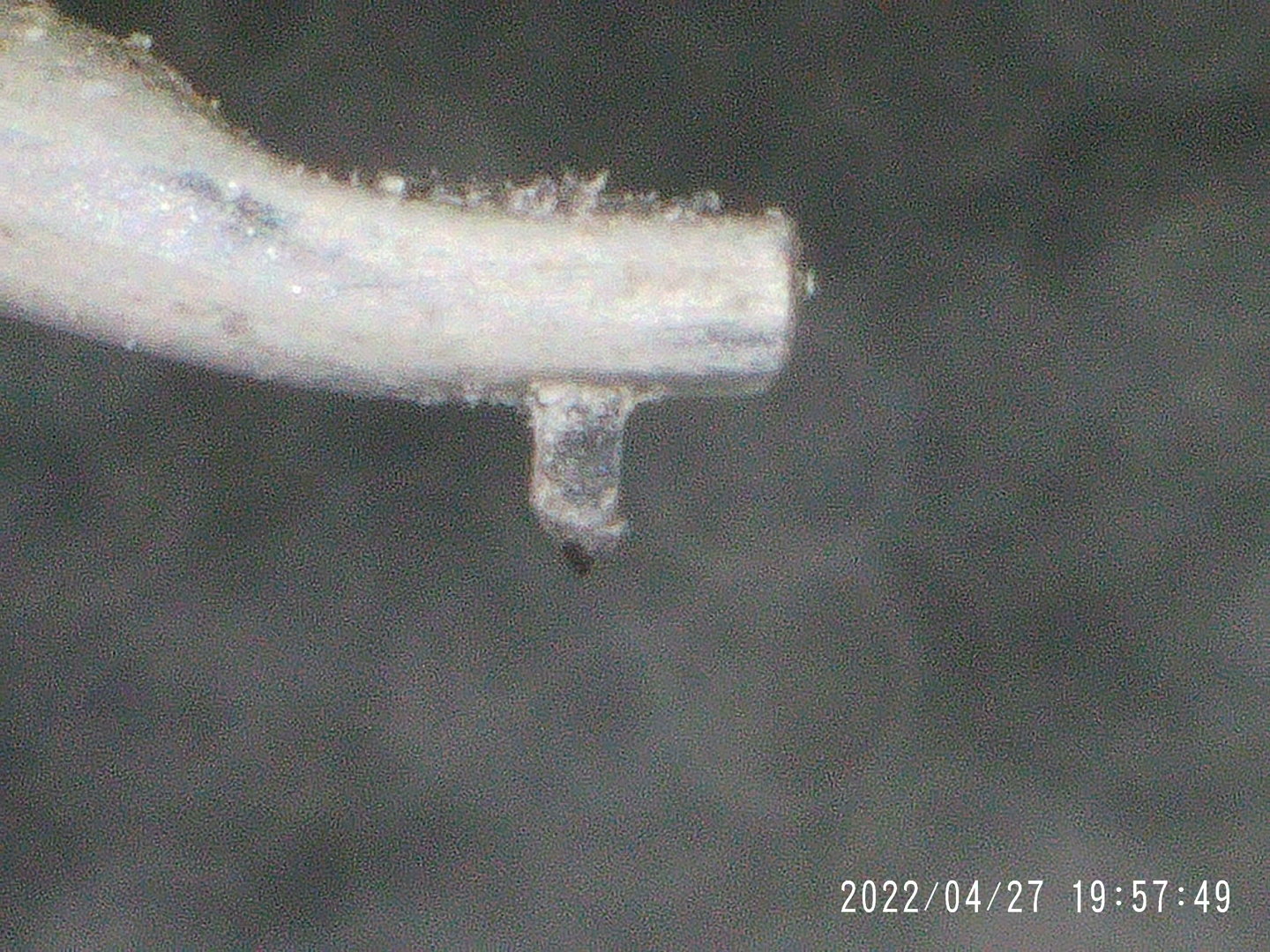 2022_0427_195750_004.JPG