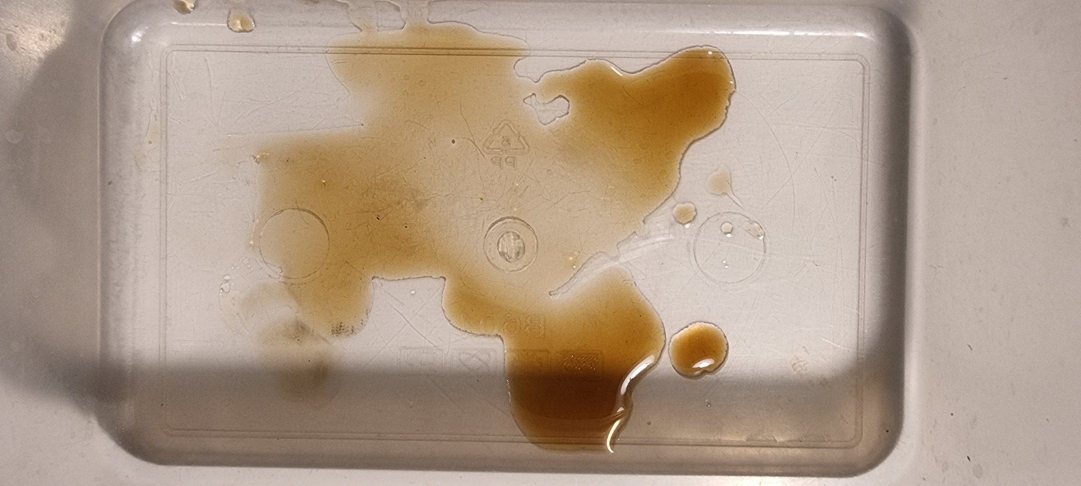 20230224_233026.jpg