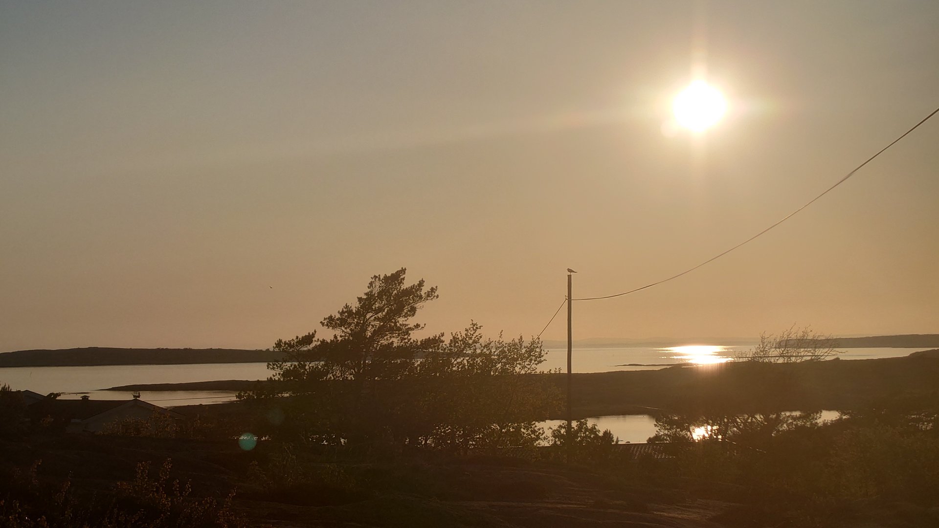 20230520_203833.JPG